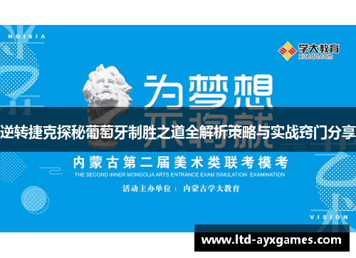 逆转捷克探秘葡萄牙制胜之道全解析策略与实战窍门分享
