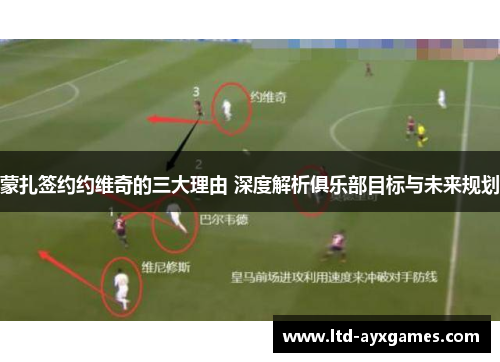 蒙扎签约约维奇的三大理由 深度解析俱乐部目标与未来规划