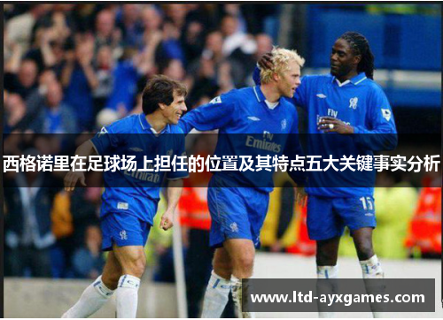 西格诺里在足球场上担任的位置及其特点五大关键事实分析